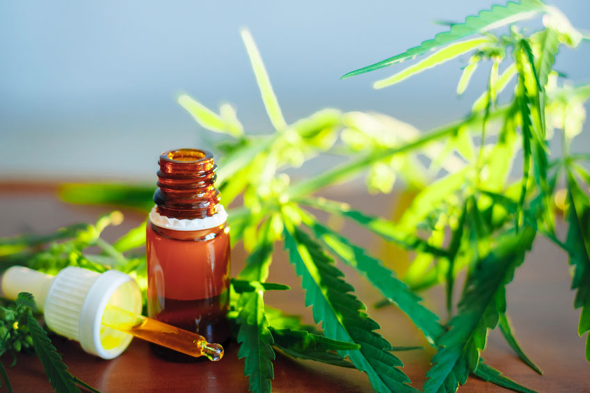 CBD oil cannabis extract. Hemp oil bottles and hemp flowers on w